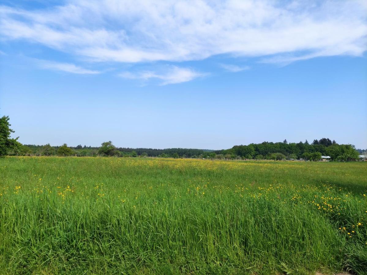 Fewo Albtaleck - Wohnen Im Kurort Waldbronn Exterior foto